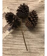 Pinecones Decorations - $194.26 MXN