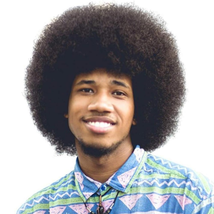 BECUS Afro Wig Men for Black Men Human Hair Afro Black Hair Wig 70&#39;S 80&#39;S Wigs f - £43.61 GBP