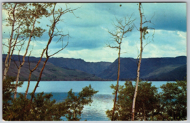 New Fork Lake in Bridger National Forest Pinedale Wyoming WY Postcard - $6.14