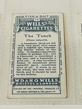 WD HO Wills Cigarettes Tobacco Trading Card 1910 Fish &amp; Bait Tench #19 l... - $19.69