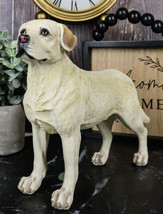 Adorable Labrador Golden Retriever Dog Standing On All Fours Pet Pal Fig... - £22.01 GBP