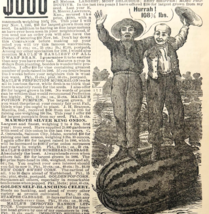 1886 Henry Maule Watermelon Seeds Advertisement Victorian Agriculture DW... - $35.09 CAD