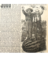 1886 Henry Maule Watermelon Seeds Advertisement Victorian Agriculture DW... - $35.02 CAD
