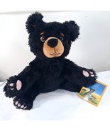 Baby Bear Sees Blue Plush black teddy Ashley Wolff w/ tag from book Merr... - €64,08 EUR