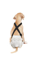Paw Inspired Dog Diaper Suspenders Washable and Disposable Dog Diapers on Sz S-M - £13.46 GBP