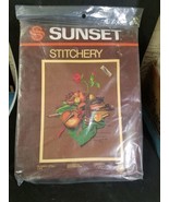 Sunset Stitchery Classic Still Life Embroidery Kit # 2298 Violin Vtg 198... - £5.95 GBP