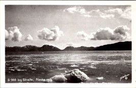 Alaska Icy Straits by Schallerer Photo Postcard Y8 - $11.95