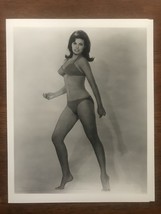 Raquel Welch 1960S Classic Bikini Photo Image Near Mint Condition ! - £18.87 GBP