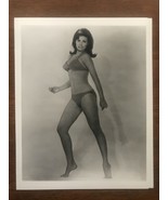 RAQUEL WELCH 1960S CLASSIC BIKINI PHOTO IMAGE   NEAR MINT CONDITION !  - $32.86 CAD