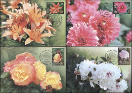 Belarus. 2014. Flowers (Mint) Set of 4 Maxi Cards - $6.02