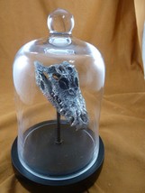 G-CROC-2) 4&quot; Metallic Crocodile HEAD Cloche glass dome TAXIDERMY goth display - £59.20 GBP