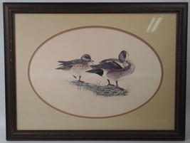 DL Burkhart Signée Numéroté Artiste Preuve Sauvagine Canard Nature Art Encadré - £179.36 GBP