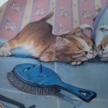 Gary Patterson Comical Cats Collector Plate Danbury Mint The Intruder plate - £23.60 GBP