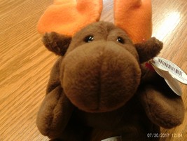 1st Edition TY Beanie babies Rare Chocolate the Moose No Stamp, PVC - £10.41 GBP