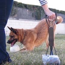 Dog Long-Handle Pooper Scooper - £20.75 GBP