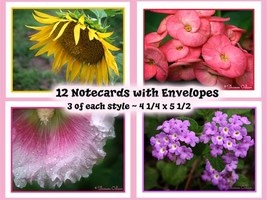 Note Cards  Flower Designs ~ Set of 12 - £9.53 GBP