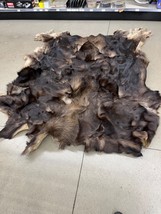 Moose Skin Very Good Condition - $900.00