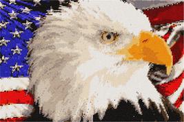 Pepita Needlepoint Canvas: American Eagle, 14&quot; x 9&quot; - £68.96 GBP+