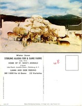 New York(NY) Plattsburg Sterling Alaska Fur &amp; Game Farms Llama Deer VTG Postcard - £7.63 GBP