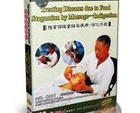 Zhang-Style Indigestion and Food Stagnation TCM Massage by Zhang Hongjun... - $15.99