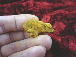 (PP450-15) 1&quot; Genuine Fossil Turtle Poop Coprolite Dung Weird Washington State - £8.17 GBP