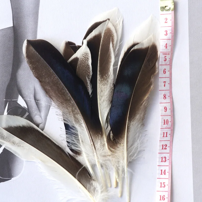 House Home Duck Feathers for Crafts 10-15CM 4-6&quot; Natural Feathers for Jewelry Ma - $25.00