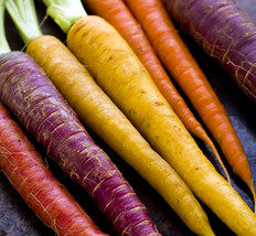 Rainbow Carrot Seeds 500 Vegetable Culinary Soups Gardening Beautiful USA SHIPPI - £4.70 GBP