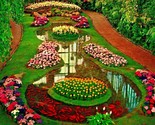 Floral Display Jewel Box Forest Park Louis MO Missouri Vtg Chrome Postca... - £2.33 GBP