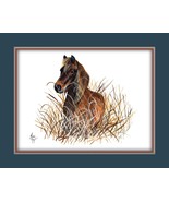 Wild Banks Pony Sea Oats Wildlife Canvas Art Print Multi Border Matting ... - $14.99+
