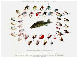 Decorative Poster.Interior wall art design.Decor Art.Bass Fishing Flies.4170 - £13.98 GBP+