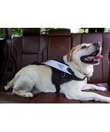 Durable Reflective Dog Leash – Hands-Free Design with Built-In Car Safet... - $1,320.16 MXN