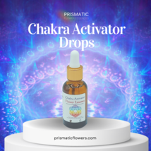 Chakra Activator Drops - £22.54 GBP