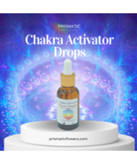 Chakra Activator Drops - £23.34 GBP