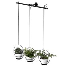 Decorative Metal Hanging Planter with Tree Pots for Flowers Black Stainl... - £38.87 GBP