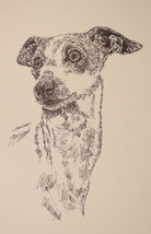 Italian Greyhound Dog Art Gift Lithograph #56 Stephen Kline Draws Dogs Name Free - £39.30 GBP