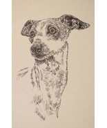 ITALIAN GREYHOUND DOG ART GIFT LITHOGRAPH #56 Stephen Kline draws dogs n... - £39.12 GBP