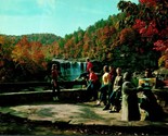 Autumn Scene Cumberland Falls State Park Kentucky KY UNP Chrome Postcard B2 - $2.63