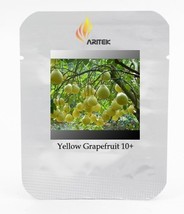  Sweet Yellow Grapefruit Citrus maxima Fruit Seeds  10 Seeds  - $6.11