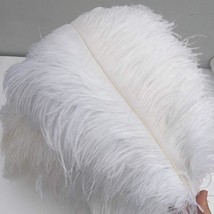 White 16-18Inch 40-45Cm Ostrich Feather Diy Craft Feather Pack Of 10 - £33.80 GBP