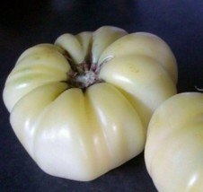 20 + Beefsteak White Tomato Seeds  Vegetable Garden  NonGmo  Free Shippi... - $8.25