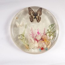 Lucite Trivet Butterfly Seashell Vintage Cottagecore Country Beach Boho - £12.46 GBP