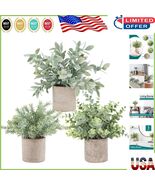Set of 3 Lifelike Mini Eucalyptus Plants - Perfect for Office and Home D... - €41,09 EUR