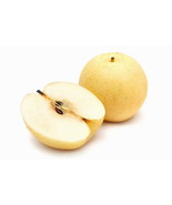 Shinseiki /New Century Asian Pear Tree:  Grafted - $1,989.73 MXN