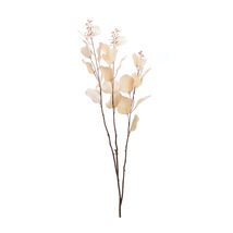 Seeded Eucalyptus Stem (Set of 2) - 563387 - €44,56 EUR