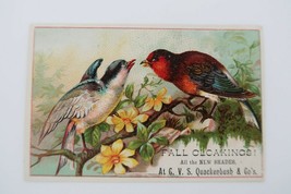 Circa 1900 Quackenbush &amp; Co. trade card Fall Cloakings Birds on Branch - $380.53 MXN