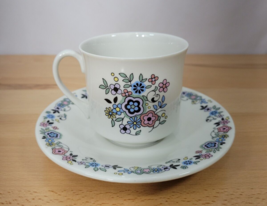 Royal Doulton SHERWOOD Tea Cup &amp; Saucer mug TC1103 1973 Vintage pastel F... - £10.38 GBP