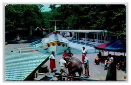 Children&#39;s Zoo Highland Park Pittsburg Pennsylvania PA UNP Chrome Postcard H19 - £3.13 GBP