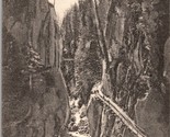 Vintage Postcard Capilano Canyon Vancouver BC Canada - Wood Bridge Path - $15.32