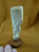 (EAGLE-W23) Eagle wings up perched shed ANTLER figurine Bali detailed ca... - £83.52 GBP