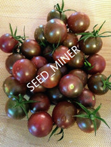 Tomato Chocolate Cherry 15-20 Seeds Organic Heirloom Open Pollinated - £6.12 GBP